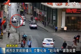 湖南吉首：闹市区突现脱缰马 交警化身“赶马哥”紧急处置视频封面