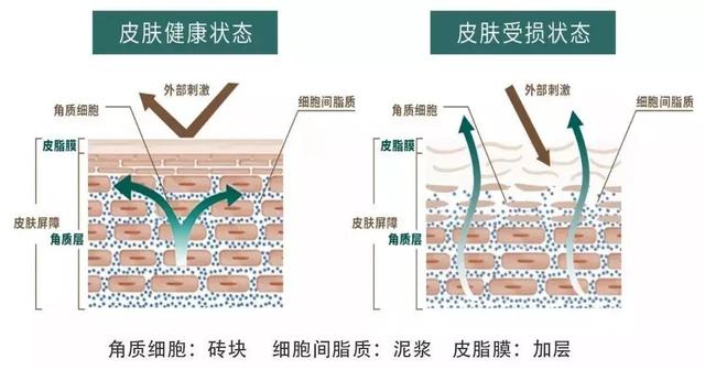 超实用保姆级秋冬护肤攻略，轻松解救秋冬危“肌”
