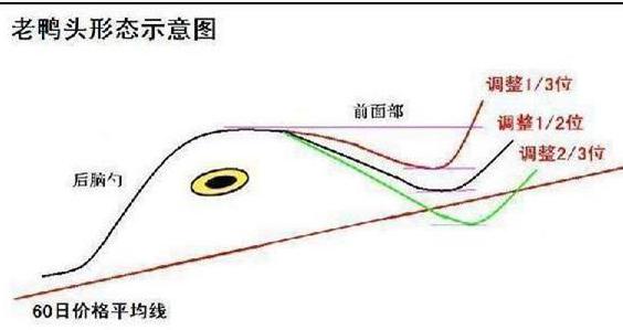散户生存法则减仓操作_翻倍黑马选股系统揭秘(作者:好过些)_交易策略顺势而为