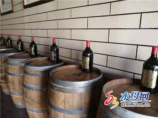 果都金秋“果酒”香 开创苹果酒酿造生产项目