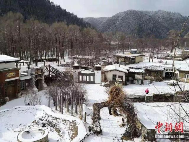 这对60后夫妻隐居山林16年，过着人们最“向往的生活”