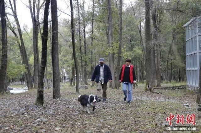 这对60后夫妻隐居山林16年，过着人们最“向往的生活”