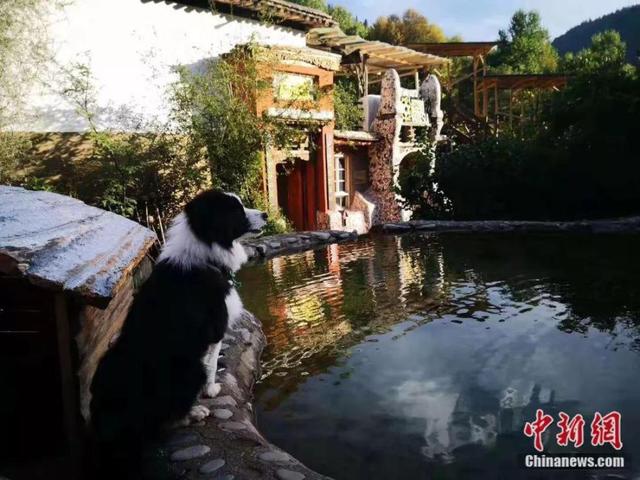 这对60后夫妻隐居山林16年，过着人们最“向往的生活”