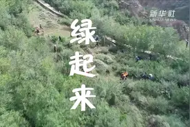 脱贫vlog|致富，我是认真的视频封面