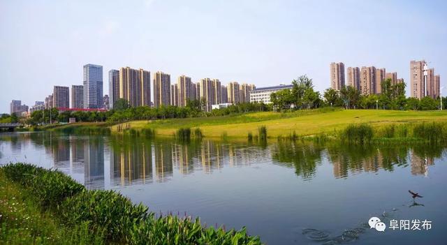 刚刚，阜阳通报了一批重点工程建设情况