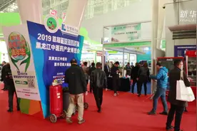 首届黑龙江中医药产业博览会开幕视频封面