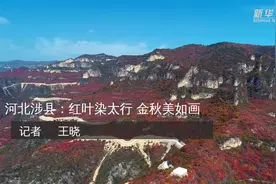 河北涉县：红叶染太行 金秋美如画视频封面