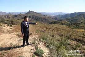 「来自扶贫一线的报告」龙潭村：夏有花，秋有果，连翘连起脱贫路图片