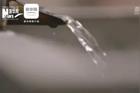 W、W、W视频封面