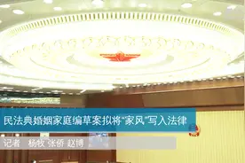 民法典婚姻家庭编草案拟将“家风”写入法律视频封面