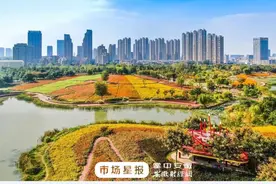 来合肥，给你一片好看的秋天图片