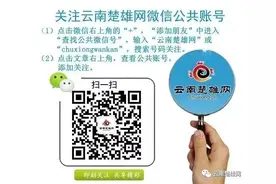 云南最新发文！事关公务员录用、登记、调任图片