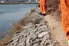 辽宁鞍山一男子小区附近钓鱼，发现一只鳄鱼正盯着自己！太吓人图片