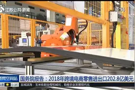 推进跨境电商发展,国务院：2018年跨境电商零售进出口202.8亿美元视频封面