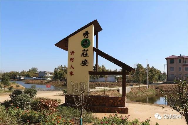 银杏黄了!邳州这条"醉美"路线火爆了!一起去赏美景、赶大集、品美食.....