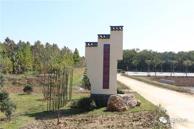 银杏黄了!邳州这条"醉美"路线火爆了!一起去赏美景、赶大集、品美食.....