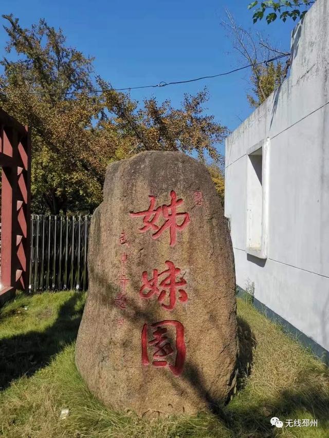 银杏黄了!邳州这条"醉美"路线火爆了!一起去赏美景、赶大集、品美食.....