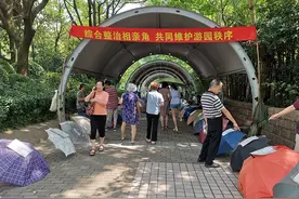 中国为什么会有“相亲角”？图片