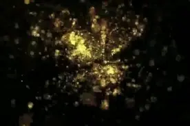 秋食栗子养胃、健脾 超全的栗子吃法看这里！视频封面