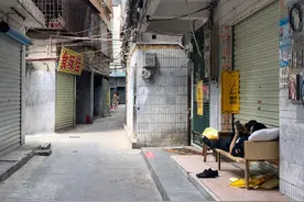 最后的白石洲图片
