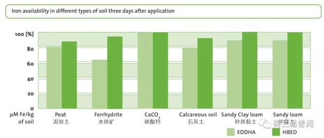 让叶片保持绿色的秘密