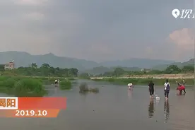 揭阳：水清岸绿好风光 下河捞蚬乐陶陶视频封面