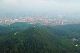 南方+东莞自然资源频道上线！见证山水林田湖草系统治理，合力共建品质东莞（附视频）视频封面