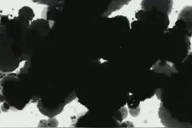 画说世遗（18）｜苏州园林：为何得享“人间天堂”的美誉（下）视频封面