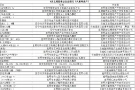 小爆发！昆明一天之内新发10张预售证图片
