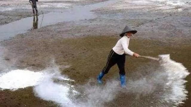 什么是消毒？什么是解毒？生石灰真的是完美消毒剂吗