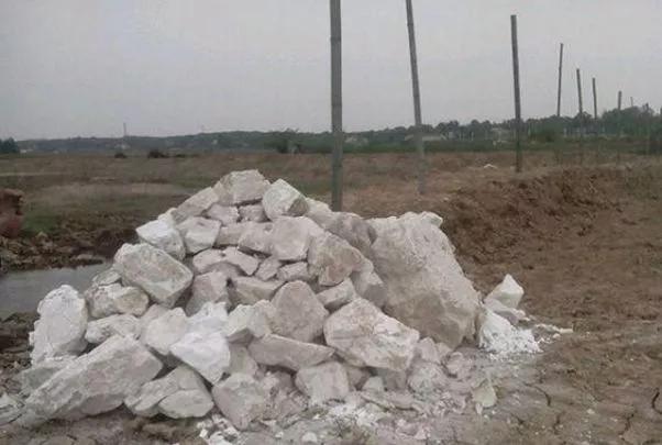 什么是消毒？什么是解毒？生石灰真的是完美消毒剂吗