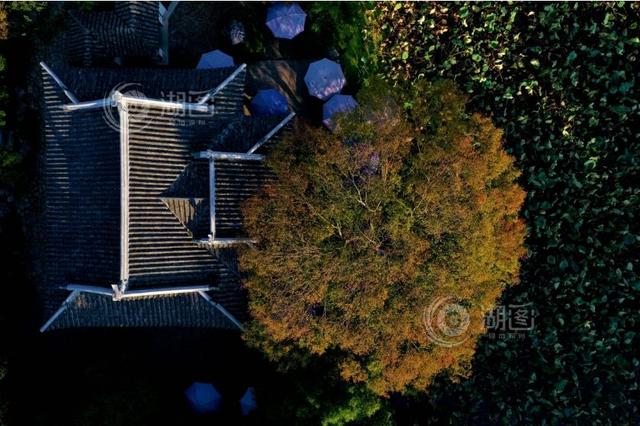 跟你的房子有关，湖州住宅全装修新政出台