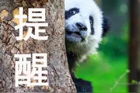 文旅部提醒！这些国家最好不要去图片