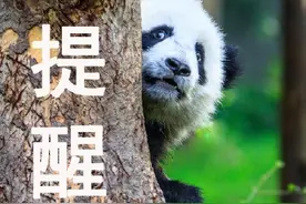 文旅部提醒！这些国家最好不要去图片