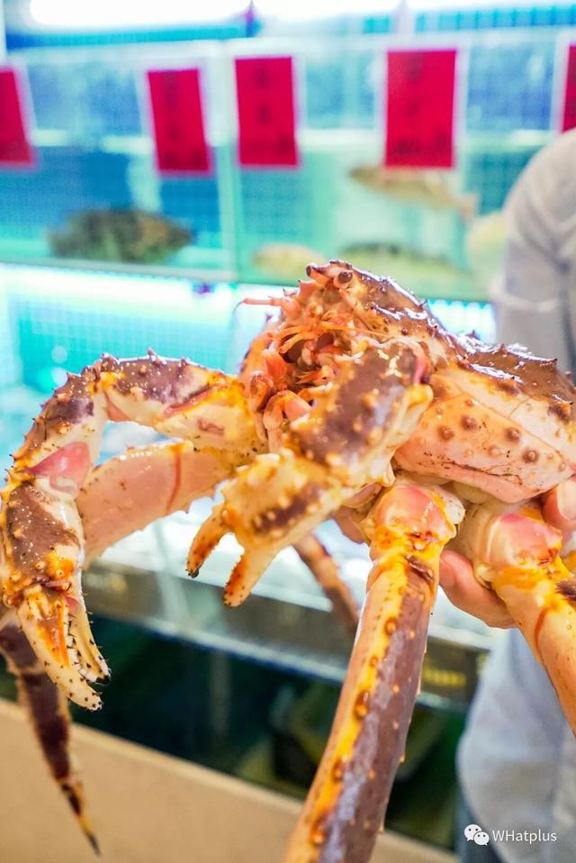 花胶吃起来像鼻涕一样 花胶吃起来像鼻涕一样正常吗