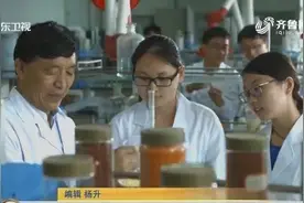 教育部印发意见：严格执行教授为本科生授课制度视频封面