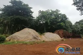 找领导·追踪｜海口金牛岭公园不再堆肥 花卉基地搬迁还需另行规划图片