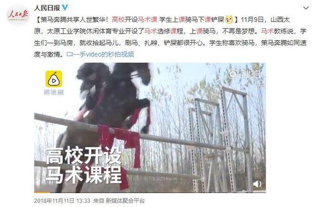 泡菜课、潜水课、安塞腰鼓课、马术课......看完我酸了