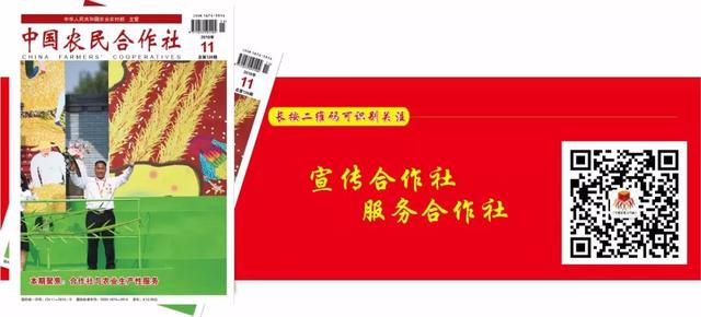 农产品如何建设网站（头条推荐怎样建设农产品品牌韩长赋部长给出答案）