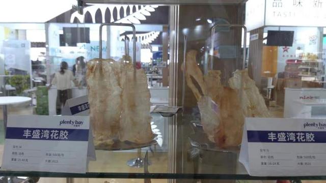 新西兰花胶是什么鱼 2026年新西兰花胶特点 新西兰花胶是什么鱼 2026年新西兰花胶特点