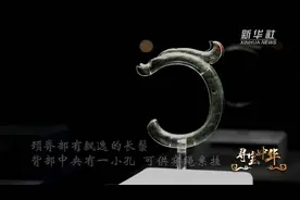 寻宝中华 | 玉C形龙视频封面