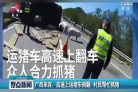 广西来宾：高速上运猪车侧翻 村民帮忙抓猪视频封面