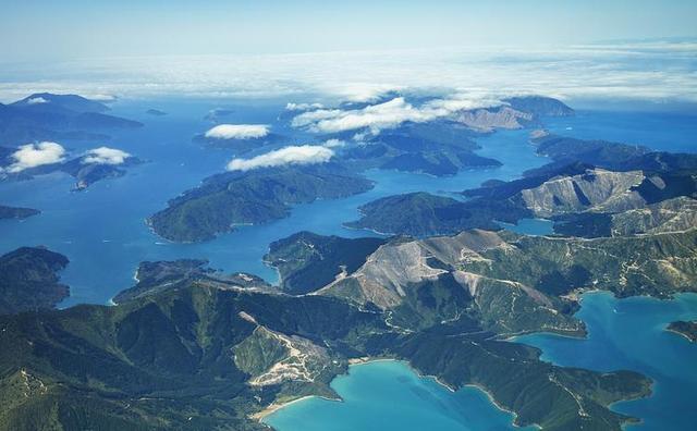 鳕鳌鱼 花胶 鳕鳌鱼花胶跟黄花胶哪款好 鳕鳌鱼 花胶 鳕鳌鱼花胶跟黄花胶哪款好