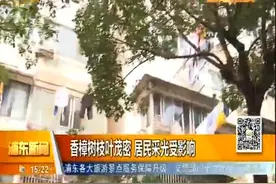 香樟树枝叶茂密 居民采光受影响视频封面