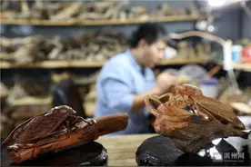 博兴木雕艺人张迪：一把传统刻刀雕出一只现代“金蝉”图片