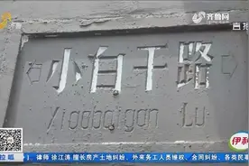 小白干路：“老青岛”常在这里逮野兔视频封面