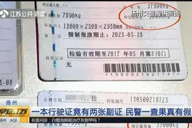 一本行驶证有2张副证？民警仔细核查发现端倪：2张证载重量不一样视频封面