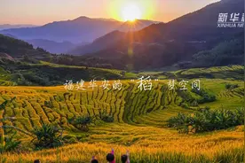 福建华安的“稻”梦空间视频封面