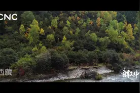 瞰中国|西藏波密的秋天视频封面