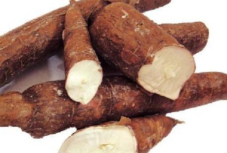 木薯淀粉的替代品（进博·品味｜怕胖还爱吃薯片完美替代品来了）